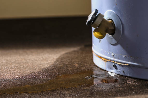 Best Water damage mitigation services  in Stafford, TX