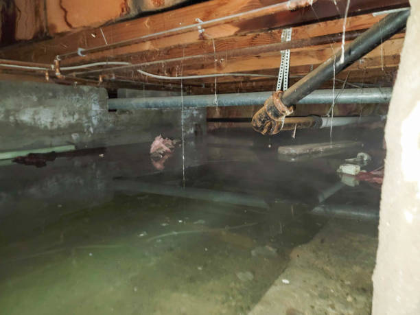 Best Commercial water damage restoration  in Stafford, TX
