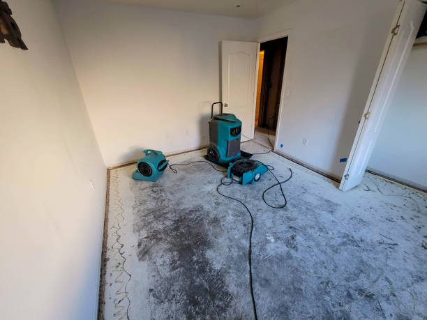Best Fire Damage Restoration  in Stafford, TX