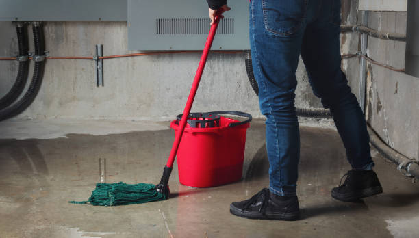 Best Residential water damage restoration  in Stafford, TX