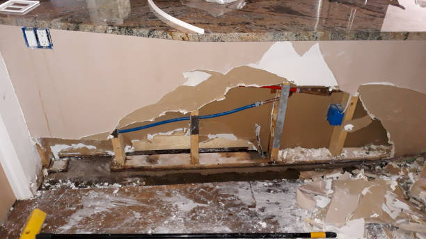 Best Ceiling water damage repair  in Stafford, TX