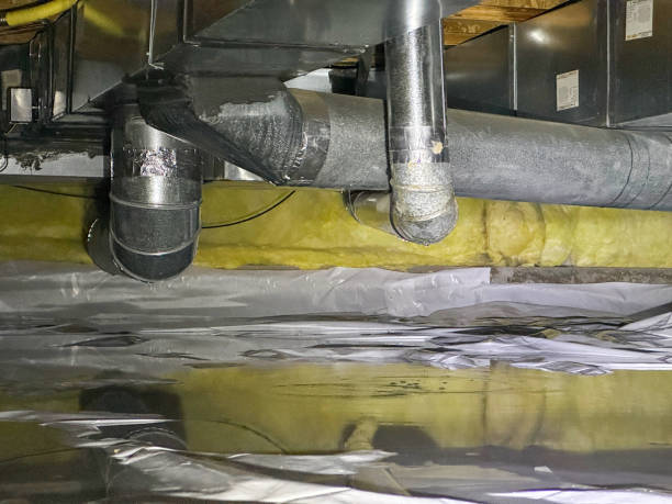 Best Water damage restoration mold remediation  in Stafford, TX