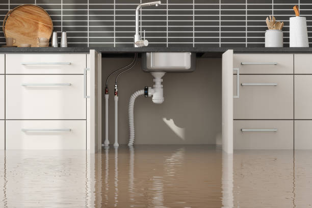 Water damage restoration mold remediation in Stafford, TX