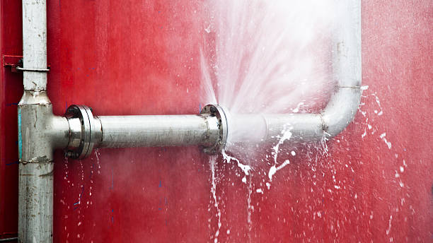 Best Professional water damage repair  in Stafford, TX